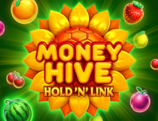 Money Hive Hold n' Link